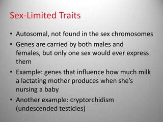 Lec Sex Determination PPTX