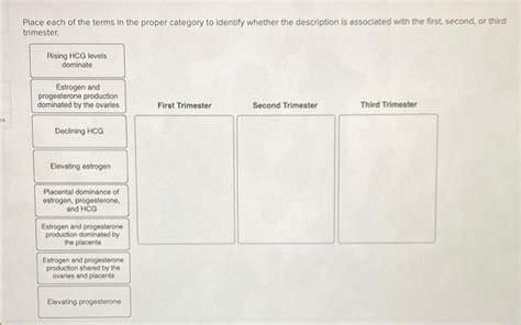 Solved Place Each If The Terms In The Proper Category To