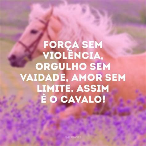 Frase Com A Palavra Cavalo - 40 frases de cavalo para demonstrar todo seu amor por este animal