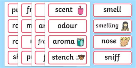 Smell Word Cards Teacher Made