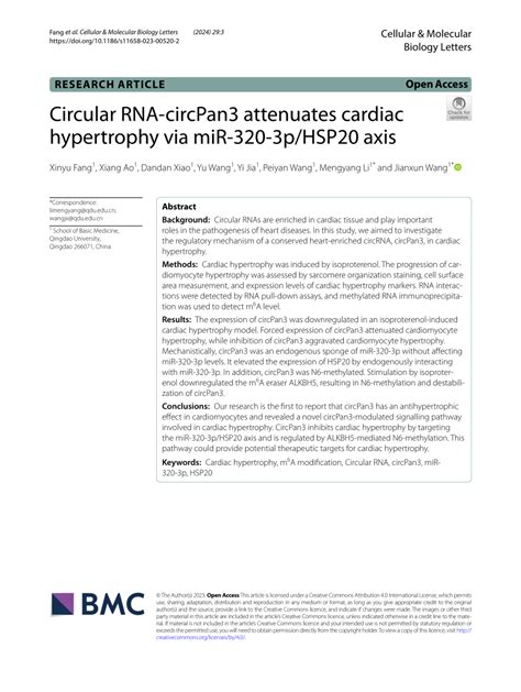 Pdf Circular Rna Circpan Attenuates Cardiac Hypertrophy Via Mir