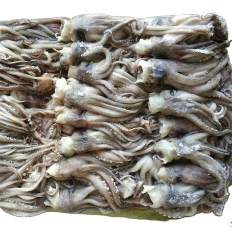 Giant Frozen Chinese Squid Head Tentacle Price China Price Supplier 21food