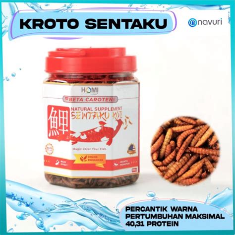 Jual Sentaku Red Maggot Gr Magot Pakan Makanan Ikan Arwana Koi