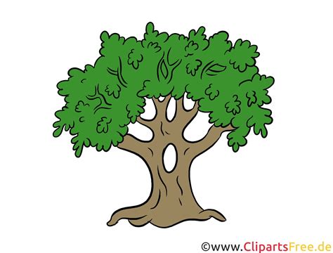 Оак модны Clipart Illustration Image For Free