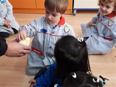 Educación Infantil Colegio O D Santo Domingo de Silos 310 Una visita