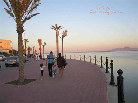 Western Union Tunis Lac 2 at Erin Joshua blog