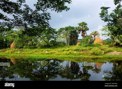 Beautiful Landscape From Rural Part Of Noakhali District Bangladesh