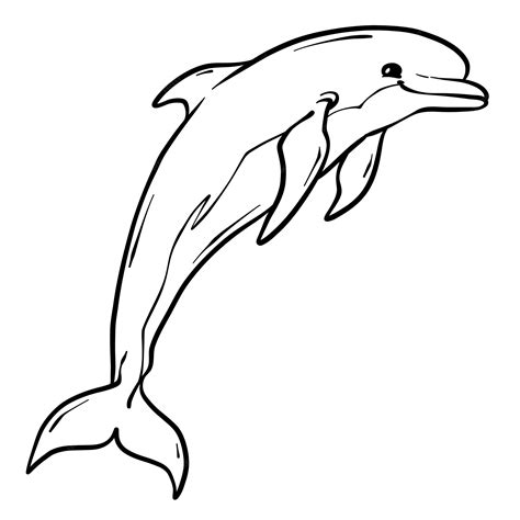 Dolphin Outline Template