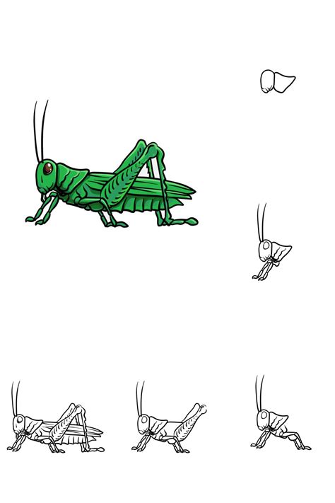 15 Extremely Green Grasshopper Drawing Ideas - Drawings