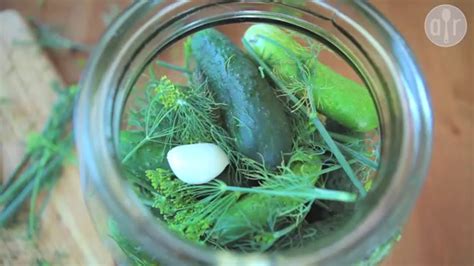 How To Make Pickled Gherkins Youtube