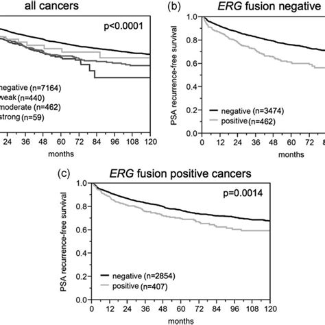 Pituitary Tumor Transforming Gene 1 Protein Pttg1 Expression And