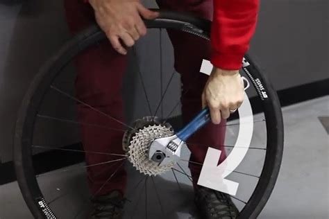 How To Remove And Fit A Cassette Tredz Bikes