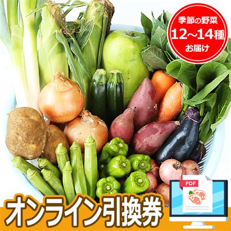 生産者限定 Jas認証有機野菜box Aセット【目録引換券】｜景品ゲットクラブ