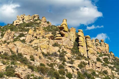 Tall Ravine In Hills Of Arizona With Mountain Shrubs And Trees And Rock