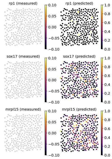 31 Imputation Single Cell Best Practices