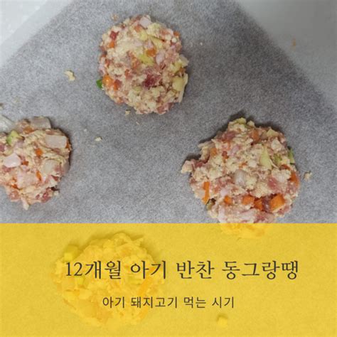 12개월 돌아기 반찬 동그랑땡 만들기 아기 돼지고기 시기와 부위 네이버 블로그