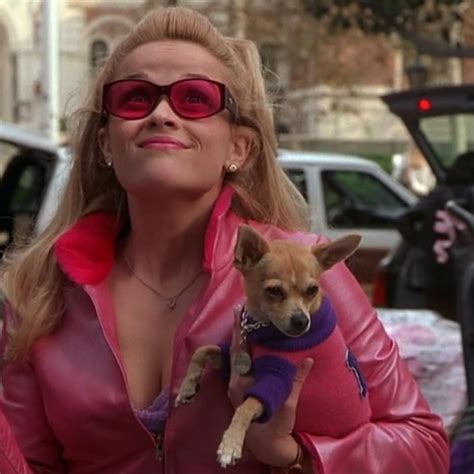 Bruiser Woods From Legally Blonde Has Died Video Popsugar Entertainment