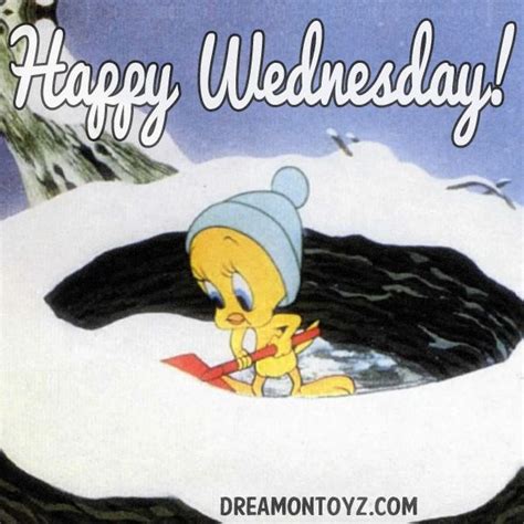 Funny Wednesday Cartoons