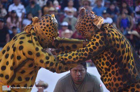 Revista Cuartoscuro On Twitter El Tigre Del Barrio De San Antonio