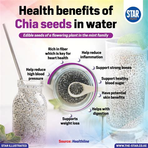 Black Chia Seeds Health Benefits at Hunter Coningham blog