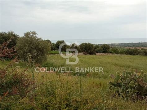 Terreno Agricolo Strada Comunale Fondo Delle Rose Polignano A Mare