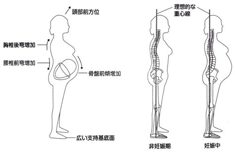 妊娠中・産後の骨盤 タナココ相模原 漢方･鍼灸接骨･妊活and不妊カウンセリング･よもぎ蒸し･メンタルケア･痛み解消 相模原市中央区