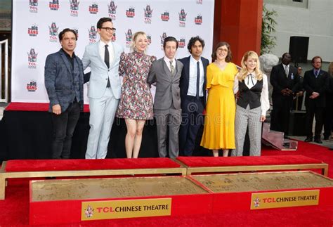 Johnny Galecki Jim Parsons Kaley Cuoco Simon Helberg Kunal Nayyar Mayim Bialik Melissa