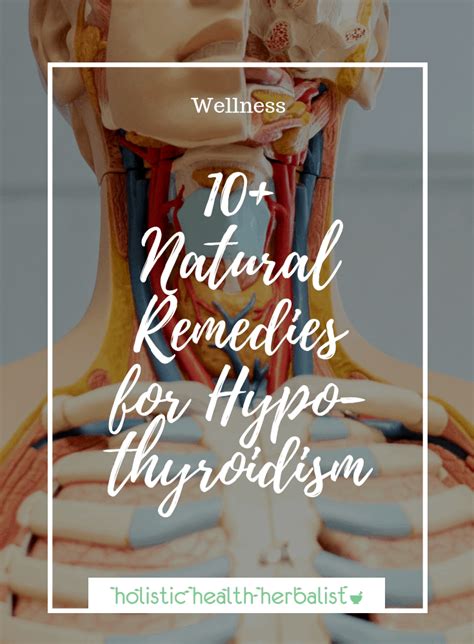 10 Natural Remedies For Hypothyroidism Holistic Health Herbalist