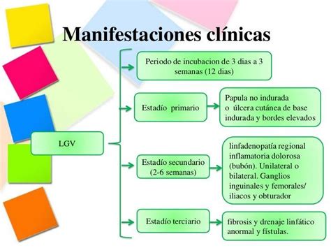 Infecciones De Transmisión Sexual Mind Map