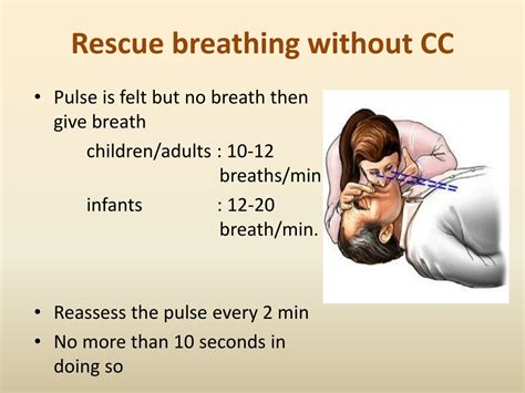 Ppt Basic Life Support Bls Powerpoint Presentation Free Download