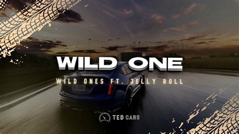 Jessie Murph Wild Ones Lyrics Feat Jelly Roll I Got A Thing For