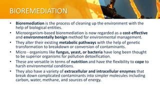 METAGENOMICS BIOREMEDIATION PPT