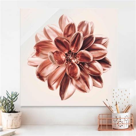 Dahlie Rosegold Rosa Zentriert Glasbild Als Quadrat Bilderwelten