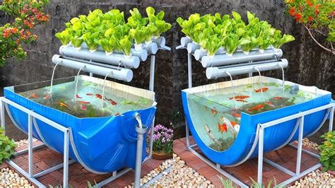 How To Design An Aquaponics System A Garden Diary