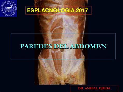 PAREDES DE ABDOMEN Apuntes y Resúmenes médicos uDocz