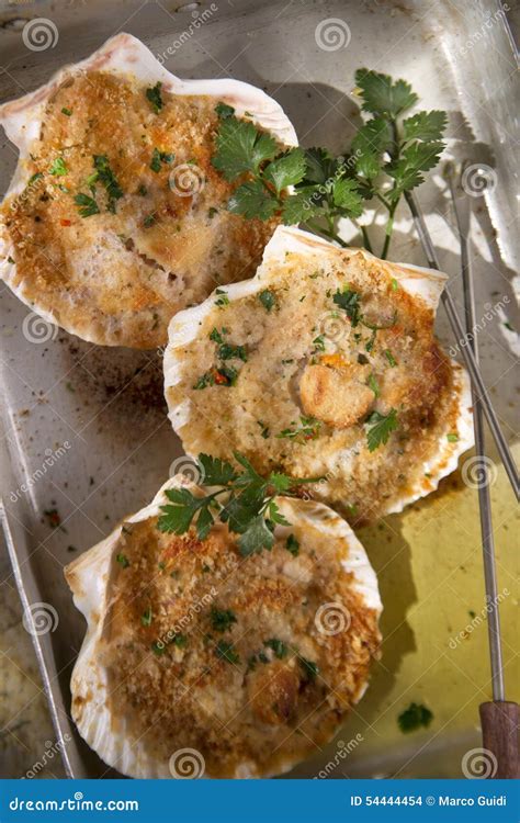 Scallops Au Gratin Stock Photo Image Of Grill Background 54444454