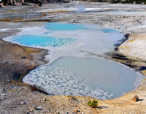 Parque Nacional Wyoming De Yellowstone De Las Aguas Termales De Los