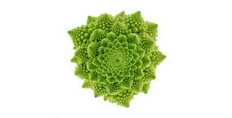 Do Fractals Exist In Nature