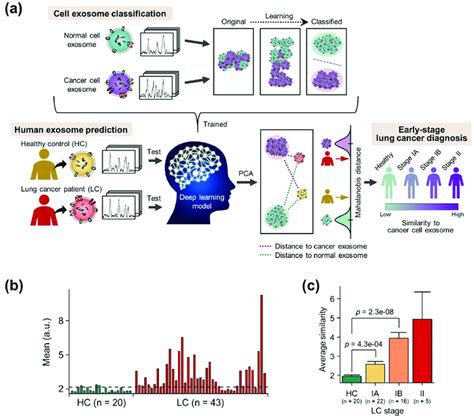 Deep Learning Based Early Lung Cancer Evs Identification A Overview