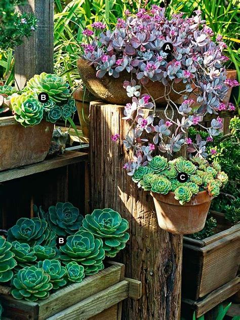 25 Outdoor Succulent Container Ideas That Resist Heat And Drought Artofit