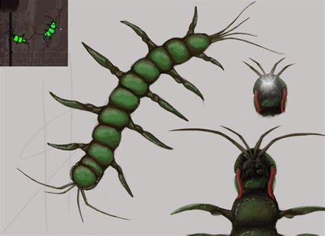 Rain World Infant Centiwing By Tenebrianmenagerie On Deviantart