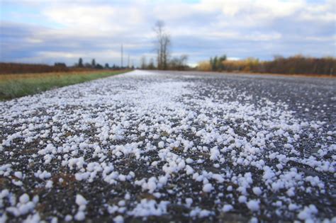 The environmental concern of road salt - CRITTERFACTS