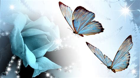 Butterflies and Roses Wallpaper - WallpaperSafari