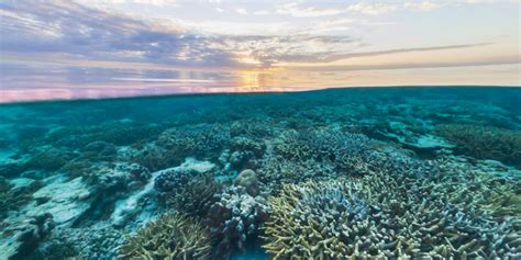 Street View Treks: Great Barrier Reef – About – Google Maps