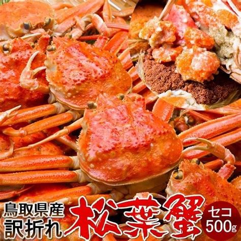 香箱がに 新物 かに セイコガニ 訳あり セコガニ メスb小 500g 松葉蟹 ボイル ゆでがに 鳥取県産 せこ蟹 セイコ蟹 足折れ 親蟹