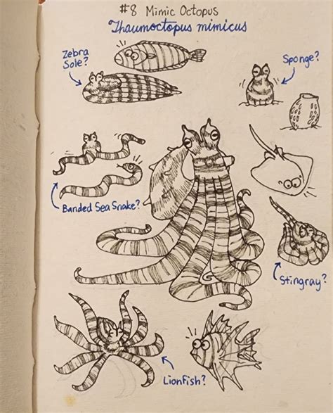 Ketrina draws a lot! • Octo-ber #8: The Mimic Octopus is a master of...