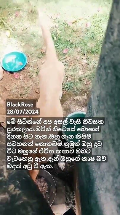 ඔක්කොම දන්න අය නිසා මුකුත් කියන්න බෑ ප්‍රසිද්ධියේ Youtube