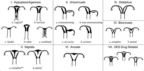 UTERINE ANOMALIES - Luke's radiology blog