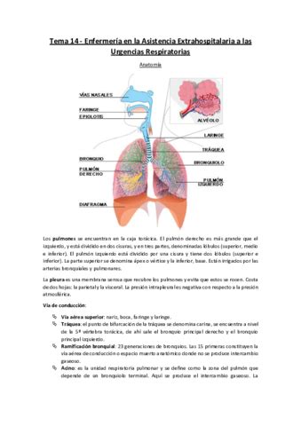 Tema Enfermeria En La Asistencia Extrahospitalaria A Las Urgencias