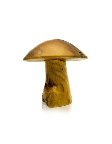 Pilz Aus Teakholzwurzel Cm